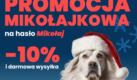 promocja mikołajkowa