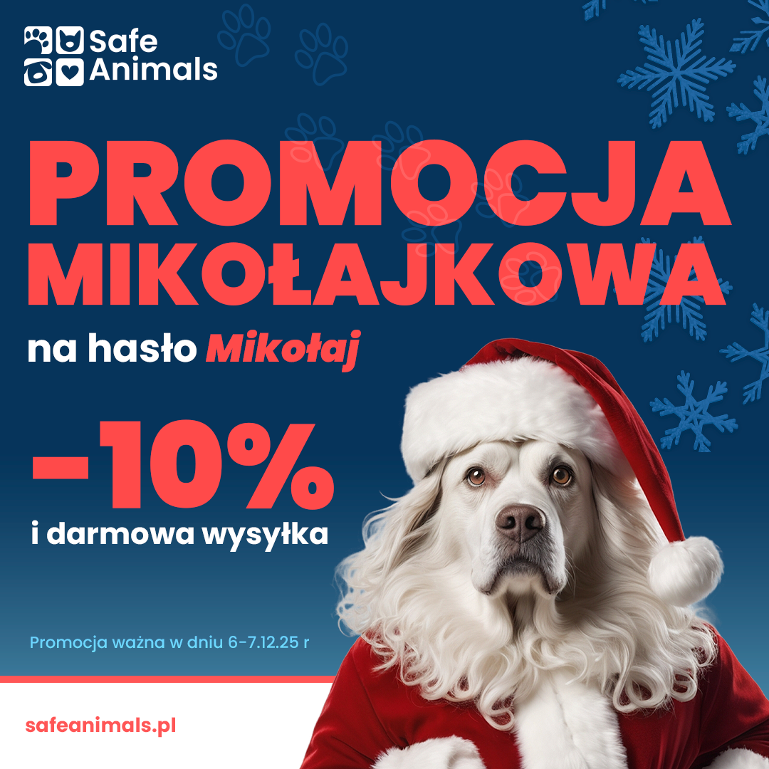promocja mikołajkowa